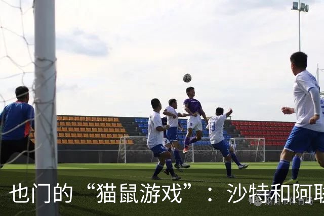 也门的“猫鼠游戏”：沙特和阿联酋的联手反击