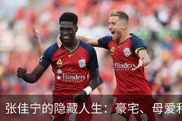张佳宁的隐藏人生：豪宅、母爱和那些未说的秘密